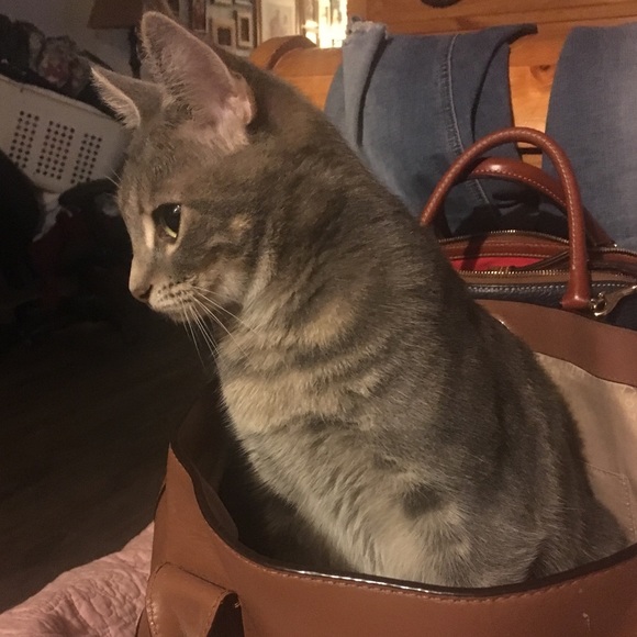 Meet your Posher, Shari - Picture 1 of 1